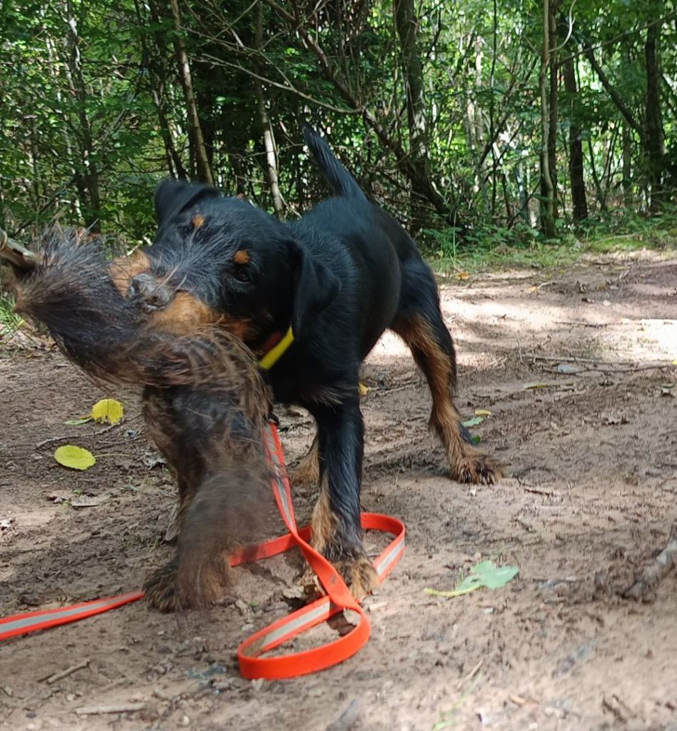 Ares de la vallée de la Blaise