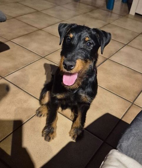 ARES DE LA VALLEE DE LA BLAISE 