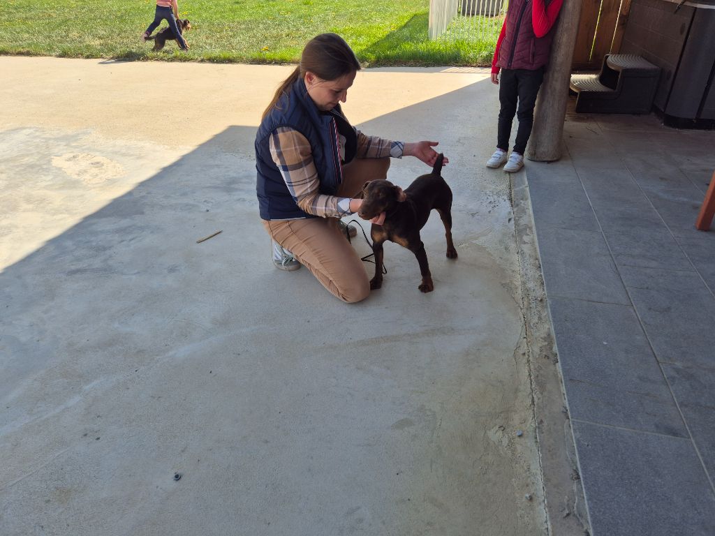 UTOPIA DES COMBES DU VENTOUX 