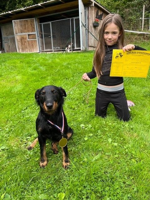 VIKINGG DE LA COLLINE DE MONJUIC 